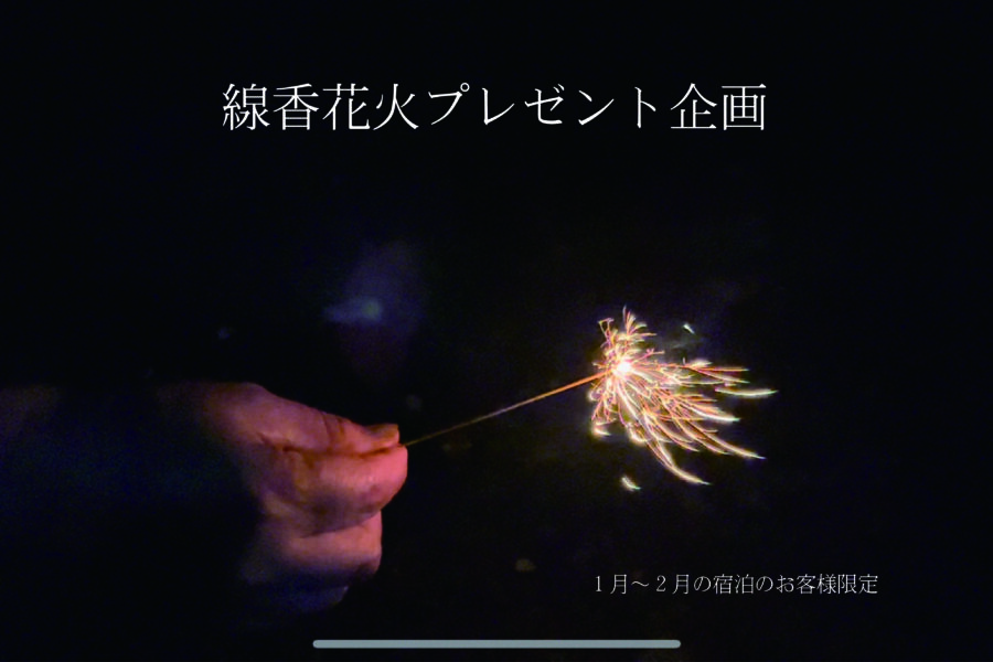 【花火特典付き】雪に覆われた静寂な夜「花火」で思い出作りを（2食付：会席）